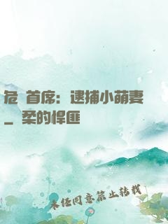 危險首席：逮捕小萌妻