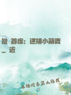 危險首席：逮捕小萌妻
