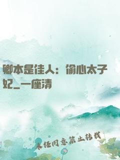 卿本是佳人：偷心太子妃
