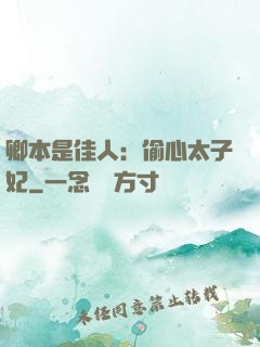 卿本是佳人：偷心太子妃