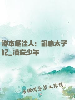卿本是佳人：偷心太子妃