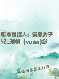 卿本是佳人：偷心太子妃