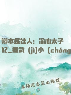卿本是佳人：偷心太子妃