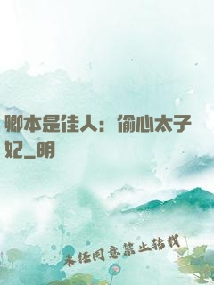 卿本是佳人：偷心太子妃