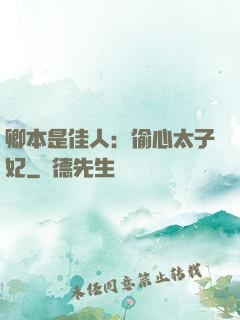卿本是佳人：偷心太子妃