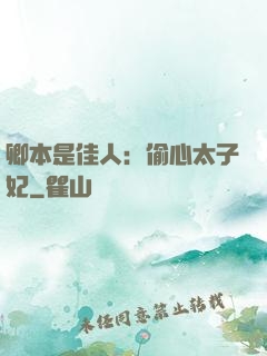 卿本是佳人：偷心太子妃