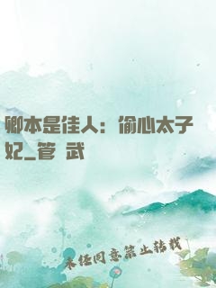 卿本是佳人：偷心太子妃