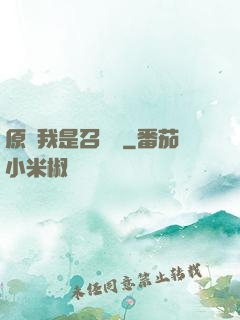 原來我是召喚師