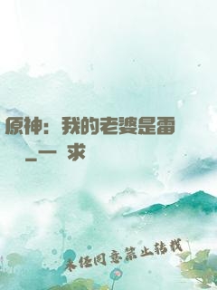 原神：我的老婆是雷電將軍