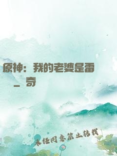 原神：我的老婆是雷電將軍