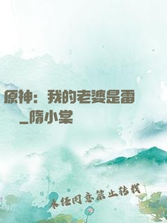 原神：我的老婆是雷電將軍