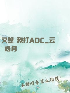 又想騙我打ADC