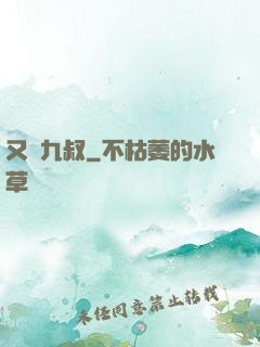 又見九叔