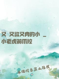 又黃又欲又肉的小說