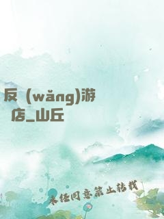 反網(wǎng)游雜貨店