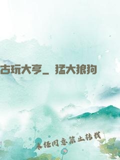 古玩大亨