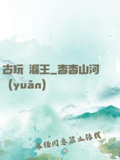 古玩撿漏王