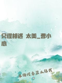 只怪相遇時太美