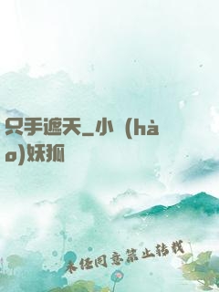 只手遮天