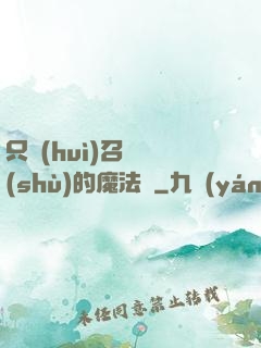 只會(huì)召喚術(shù)的魔法師
