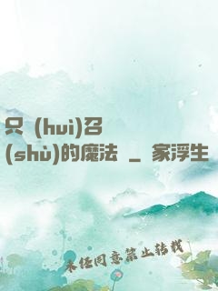 只會(huì)召喚術(shù)的魔法師