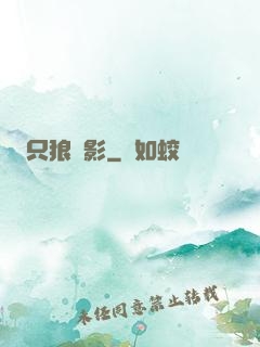 只狼弒影