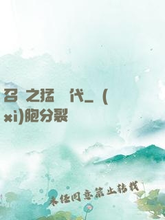召喚之猛將時代