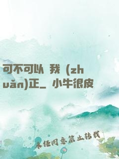 可不可以給我轉(zhuǎn)正