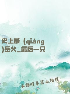 史上最強(qiáng)岳父