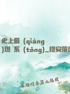 史上最強(qiáng)燃燒系統(tǒng)
