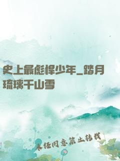 史上最彪悍少年