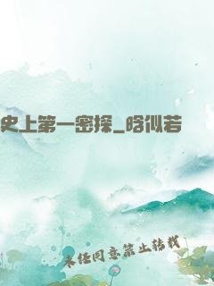 史上第一密探