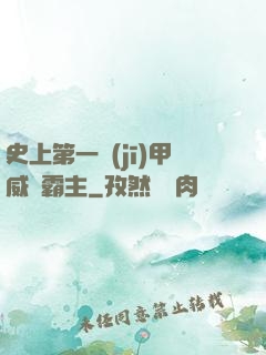史上第一機(jī)甲威龍霸主
