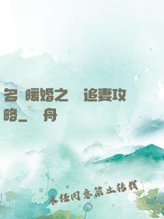 名門暖婚之權爺追妻攻略