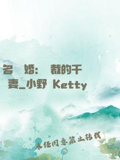 名門閃婚：總裁的千億寵妻