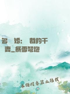名門閃婚：總裁的千億寵妻