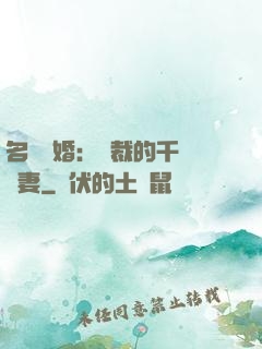 名門閃婚：總裁的千億寵妻