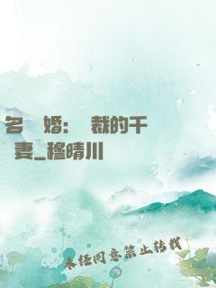 名門閃婚：總裁的千億寵妻