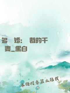 名門閃婚：總裁的千億寵妻