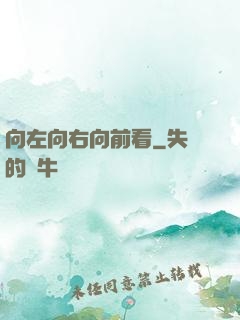 向左向右向前看