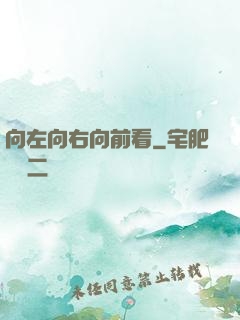 向左向右向前看