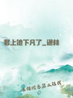 君上他下凡了