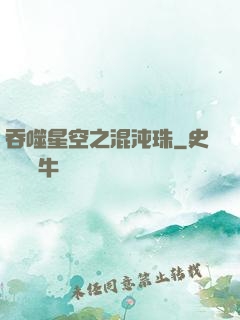 吞噬星空之混沌珠