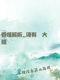 吞噬解析
