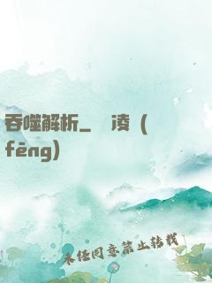 吞噬解析