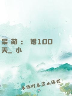 呆媽萌寶：試婚100天
