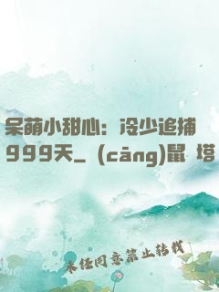 呆萌小甜心：冷少追捕999天