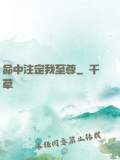 命中注定我至尊