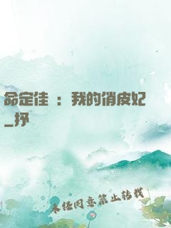命定佳緣：我的俏皮妃