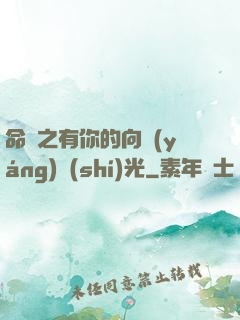 命軌之有你的向陽(yáng)時(shí)光